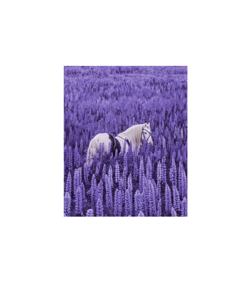 Magical Inspiration 2