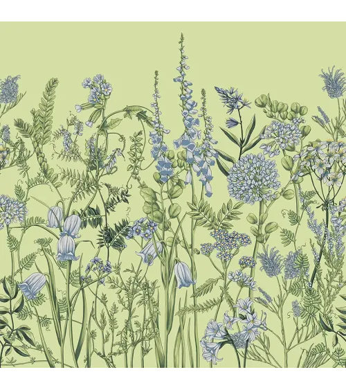 Wild Meadow 2 – Wallpaper with Botanical Illustrations of Wildflowers | ART VISION DECOR