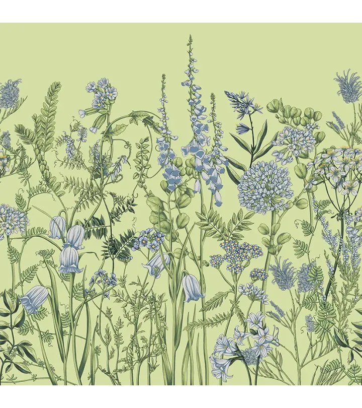 Wild Meadow 2 – Wallpaper with Botanical Illustrations of Wildflowers | ART VISION DECOR