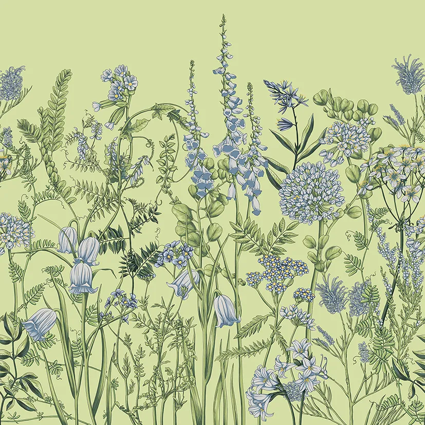 Wild Meadow 2 – Wallpaper with Botanical Illustrations of Wildflowers | ART VISION DECOR