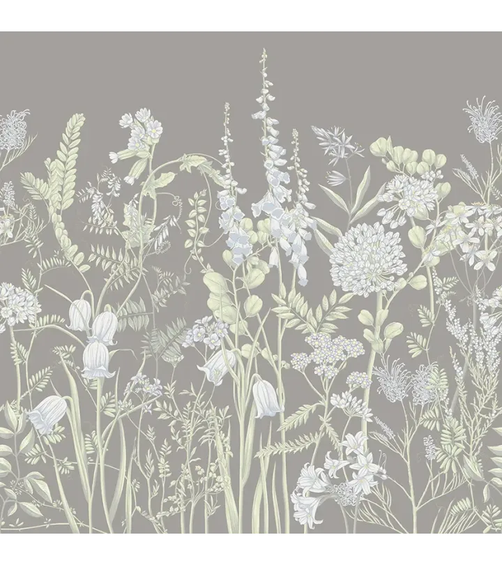 Wild Meadow 2 – Wallpaper with Botanical Illustrations of Wildflowers | ART VISION DECOR