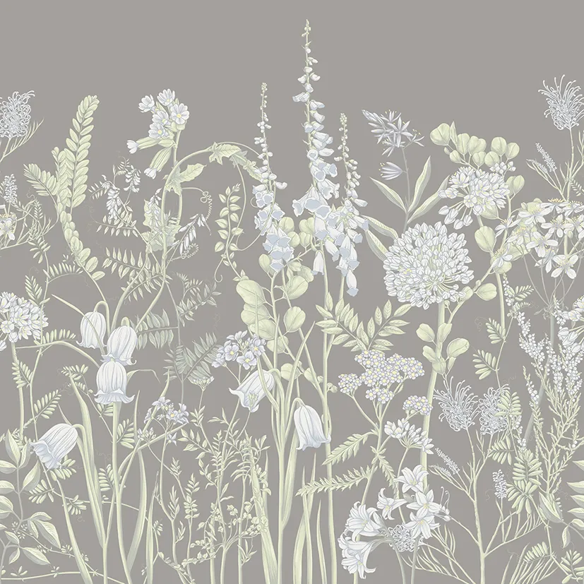 Wild Meadow 2 – Wallpaper with Botanical Illustrations of Wildflowers | ART VISION DECOR