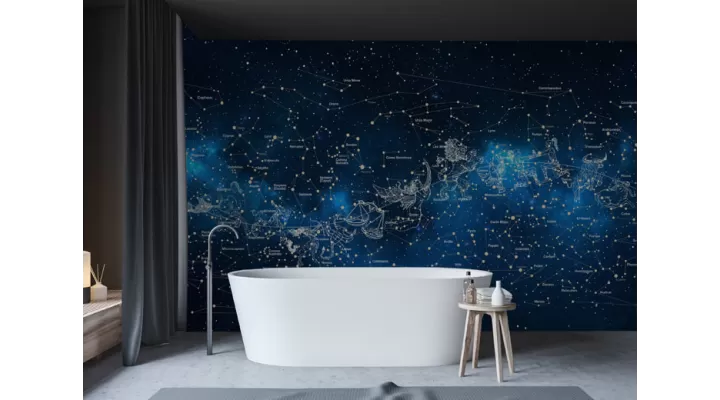 Wall Mural "Night sky constellations" buy with delivery