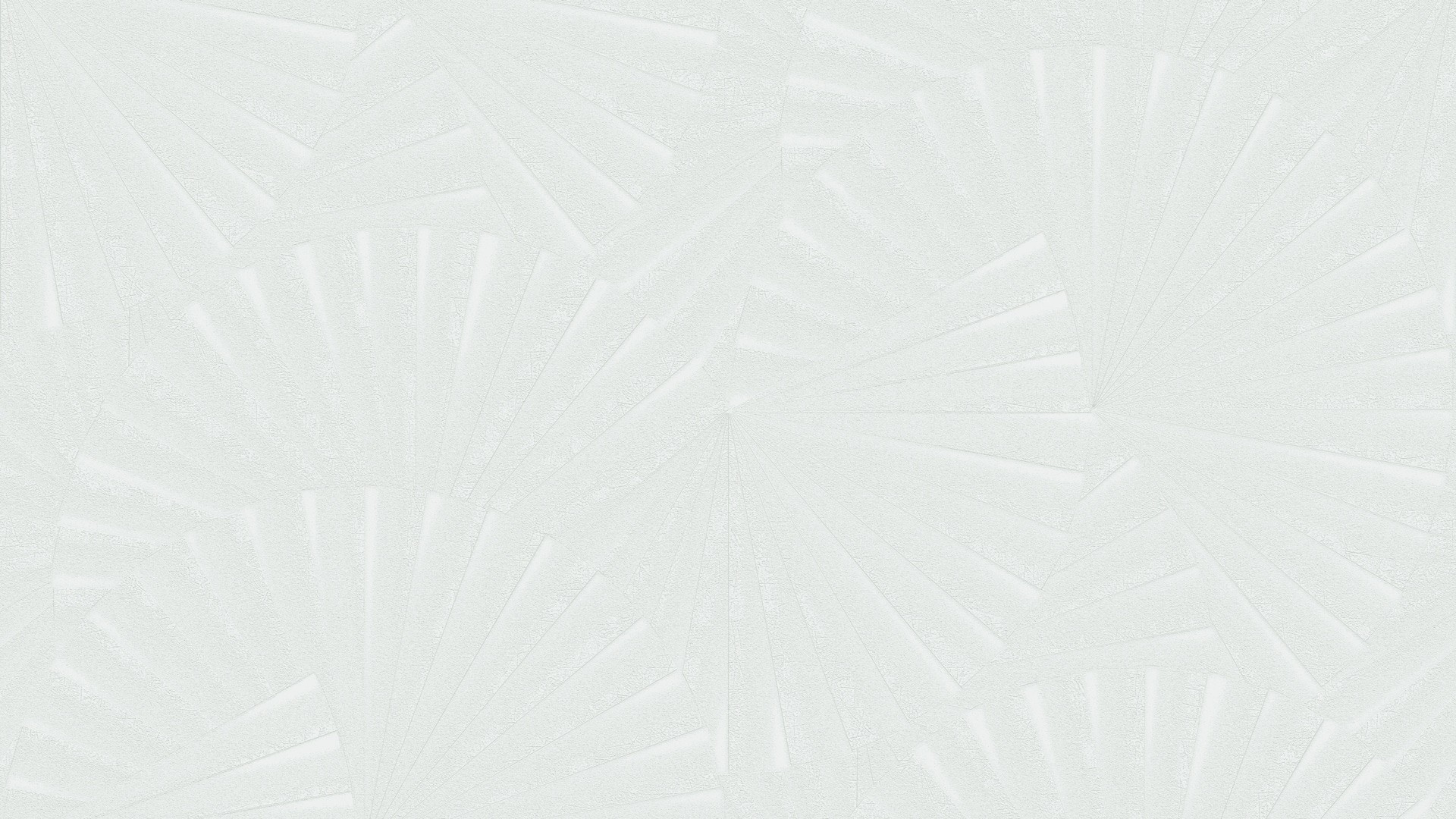 457603 (1,06)