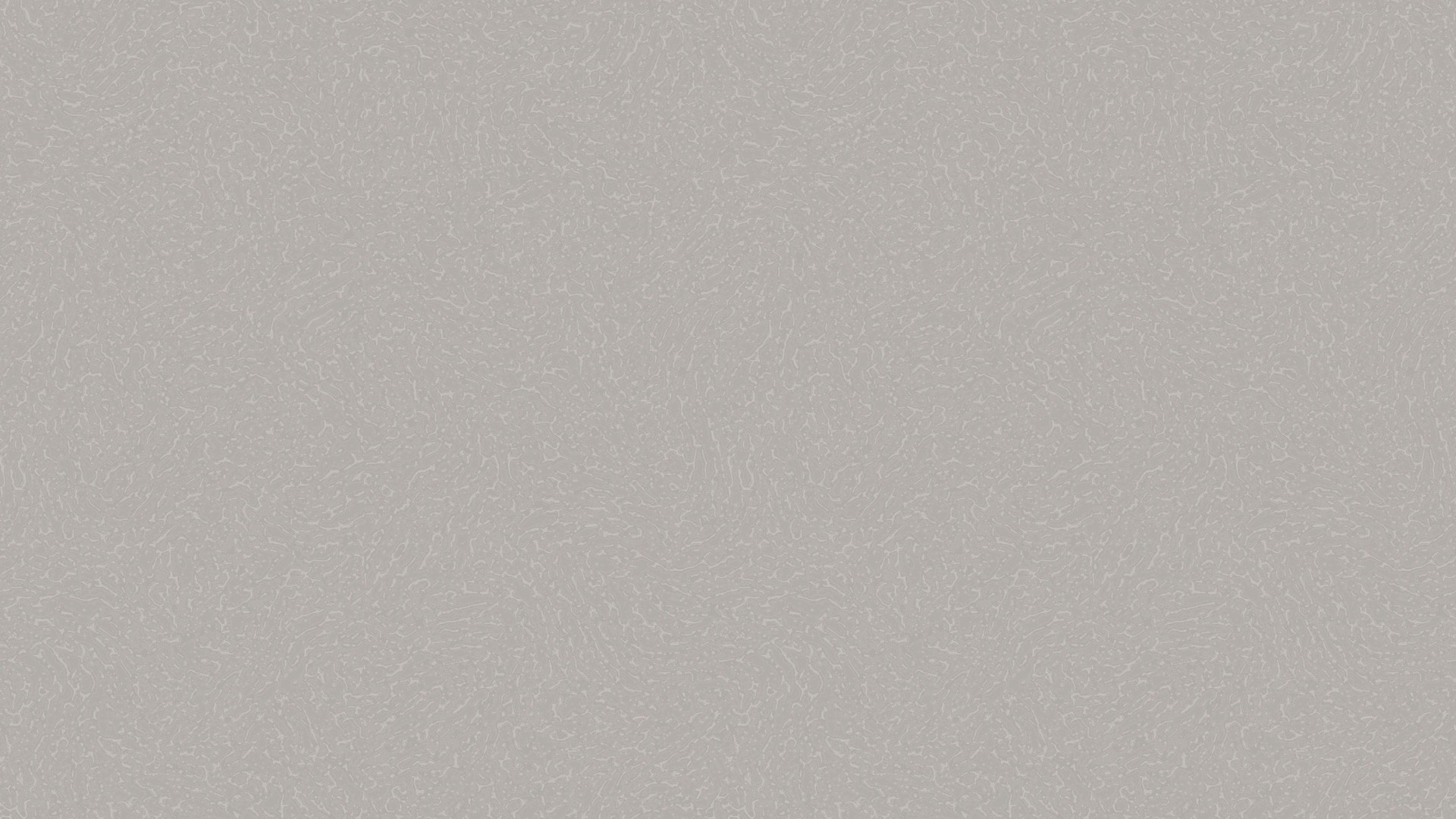 454855 (1,06)