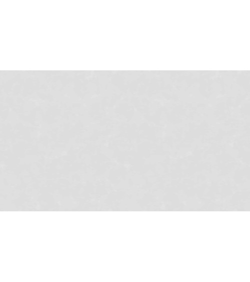 507803 (1,06)