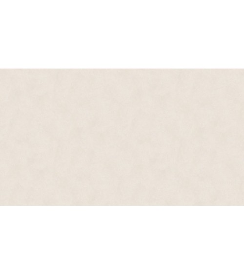 600429 (1,06)