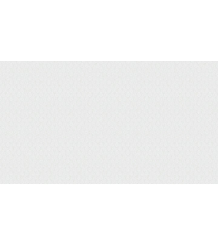 600306 (1,06)