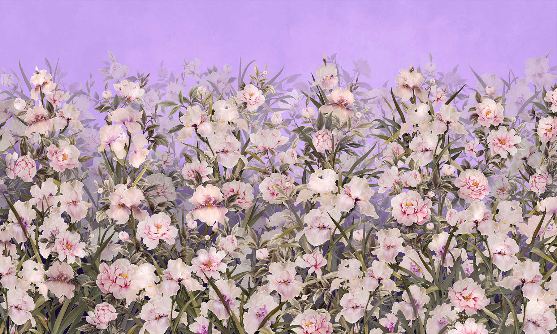 silk-iris-7