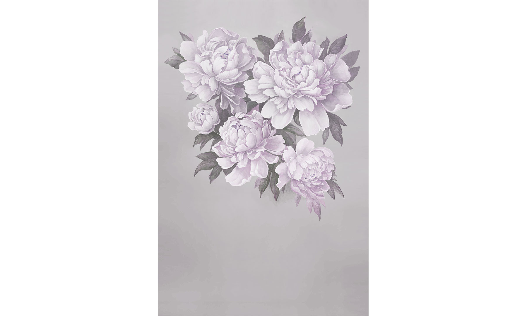 Peony Magic 1