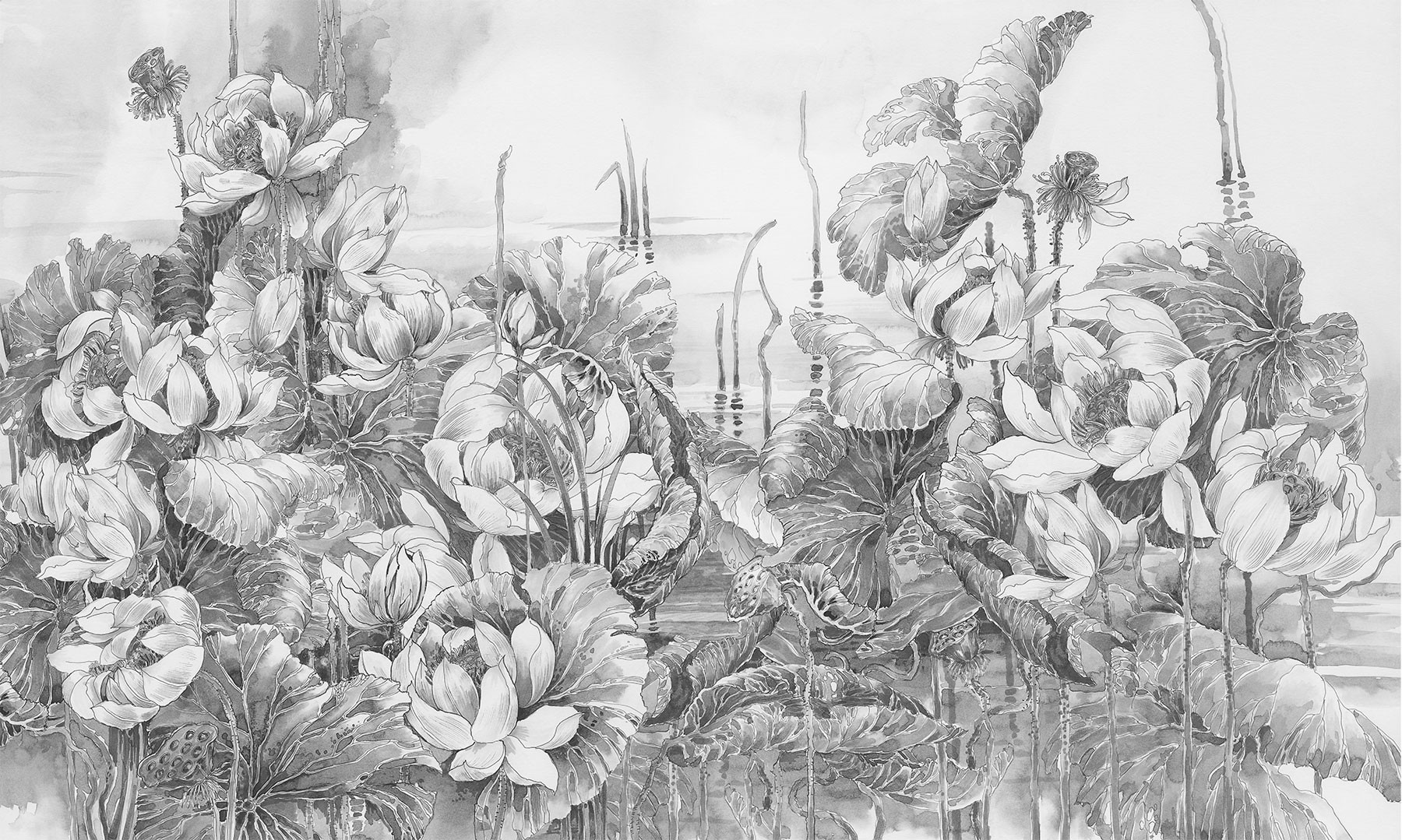 Lotuses at Dawn 2