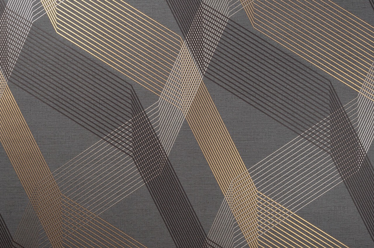 Hot Embossed wallpaper on Non-Woven Base Vinil Fringe TFSH 6-1431 Gray-Black 10,05 x 1,06 m