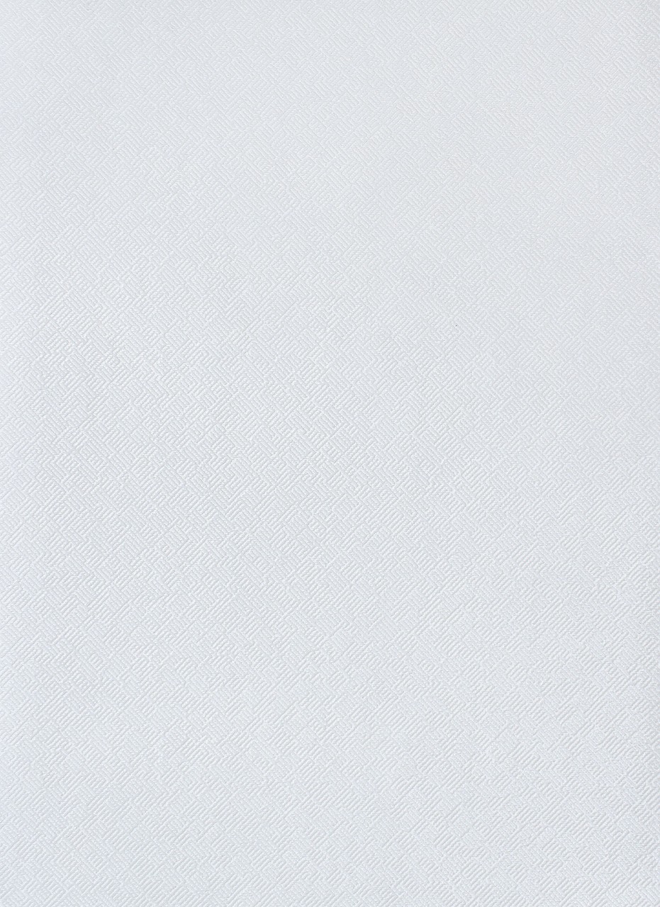Vinyl Foam wallpaper on paper backing Vinil Tweel NKP 2-0785 Gray-White 15,0 x 0,53 m