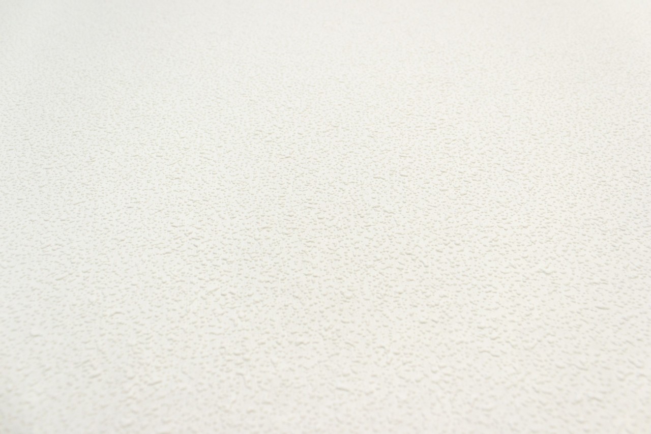 Vinyl Foam wallpaper on non-woven base Vinil Painted Wallpaper PRO 2 White 25 x 1,06 m