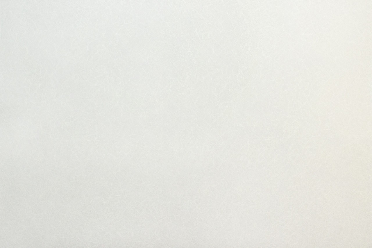 Vinyl Foam wallpaper on non-woven base Vinil Painted Wallpaper PRO 3 White 25 x 1,06 m