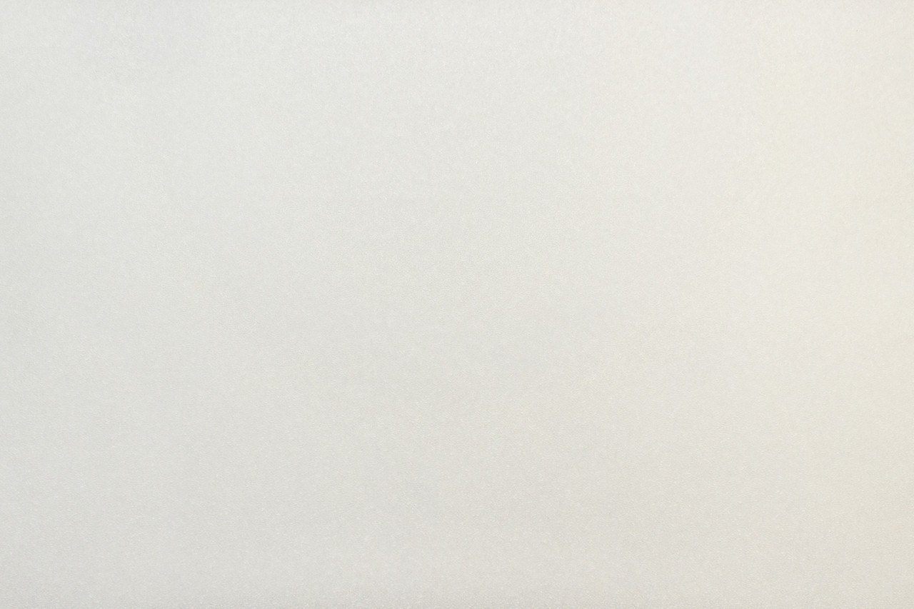Vinyl Foam wallpaper on non-woven base Vinil Painted Wallpaper PRO 2-10 Snowball White 10,05 x 1,06 m