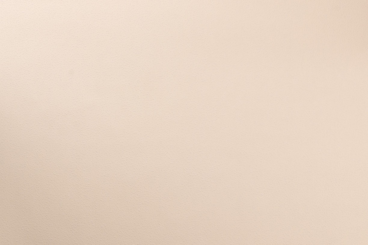 Vinyl Foam wallpaper on non-woven base Vinil Painted Wallpaper PRO 1 - Light2 Sandy 10,05 x 1,06 m