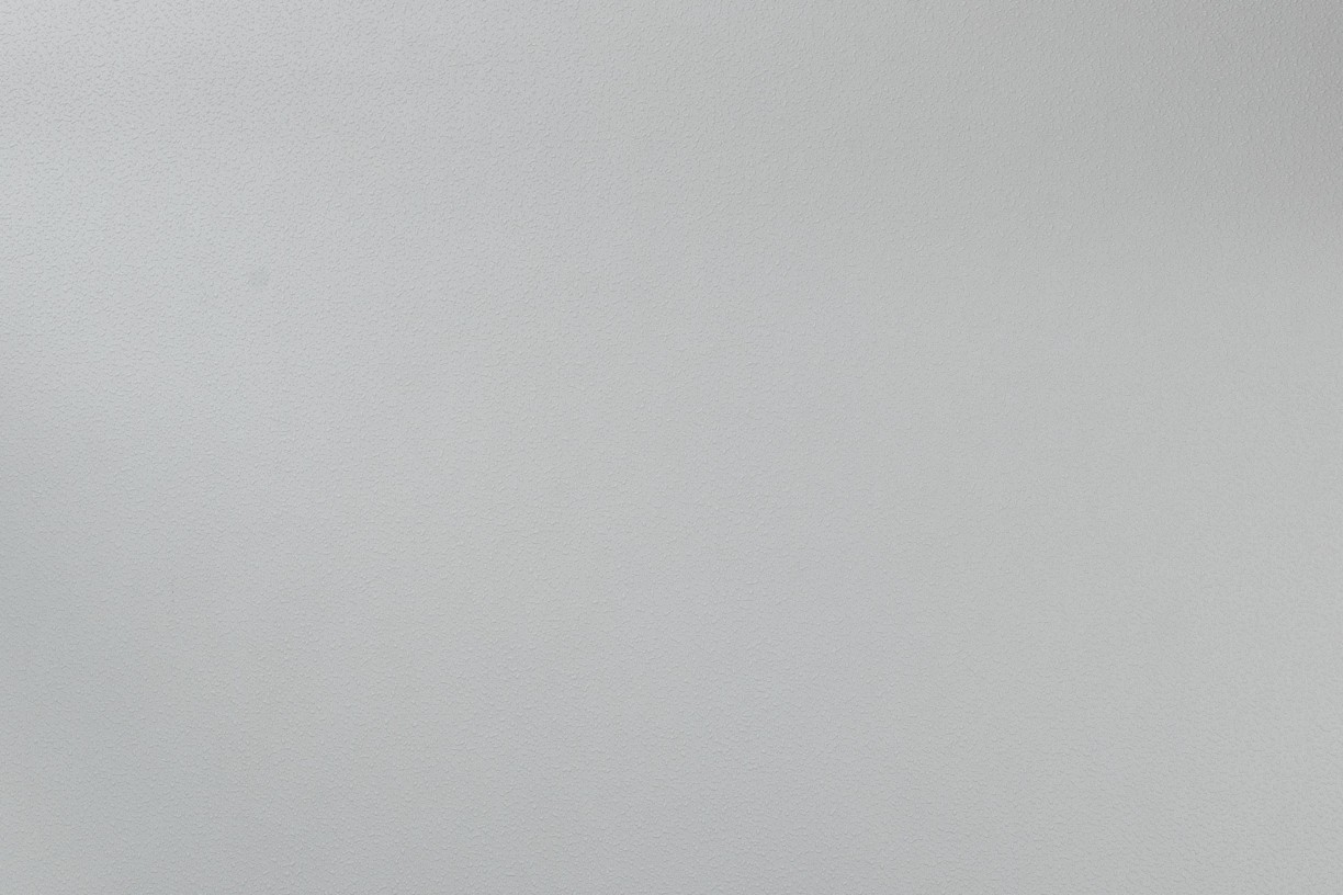Vinyl Foam wallpaper on non-woven base Vinil Painted Wallpaper PRO 1 - Light3 Gray 10,05 x 1,06 m
