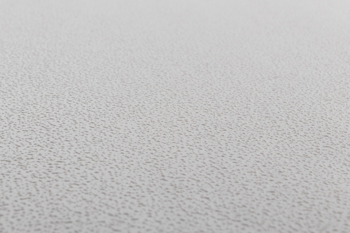 Vinyl Foam wallpaper on non-woven base Vinil Painted Wallpaper PRO 1 - Light3 Gray 10,05 x 1,06 m