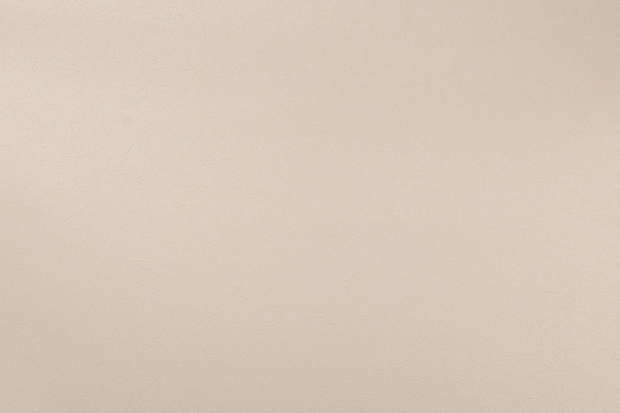 Vinyl Foam wallpaper on non-woven base Vinil Painted Wallpaper PRO 3 - Light3 Beige 10,05 x 1,06 m