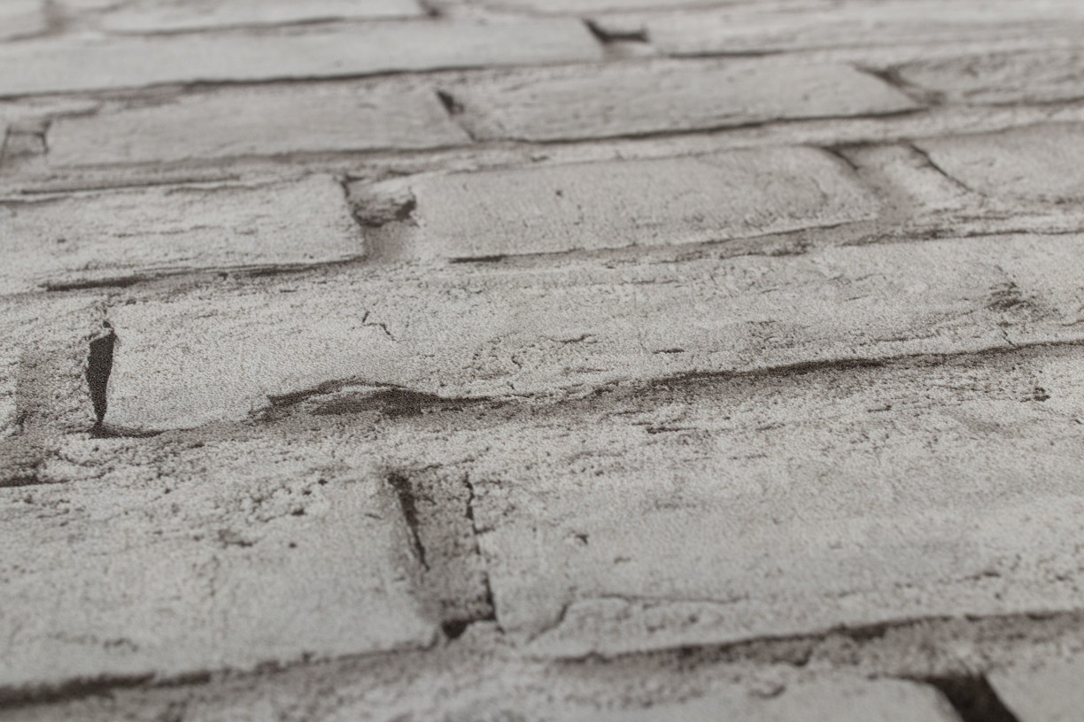 Hot Embossed wallpaper on Non-Woven Base Vinil Flat SHT 1-1538 Light-Gray 10,05 x 1,06 m