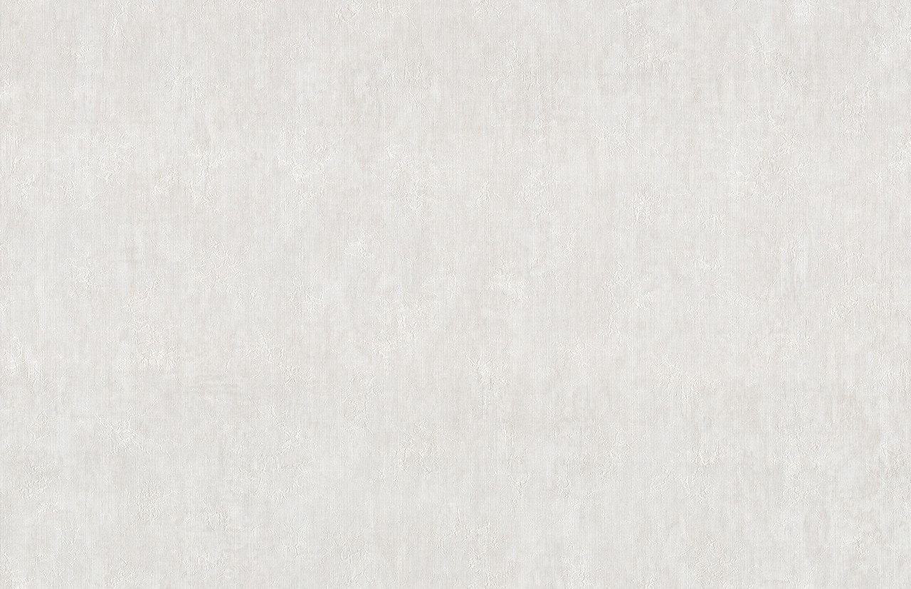 Hot Embossed wallpaper on Non-Woven Base Vinil Concrete SHT 1-1563 White 10,05 x 1,06 m