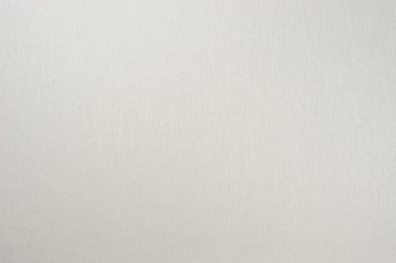 Hot Embossed wallpaper on Non-Woven Base Vinil Lion SHT 1-1540 Light-Gray 10,05 x 1,06 m