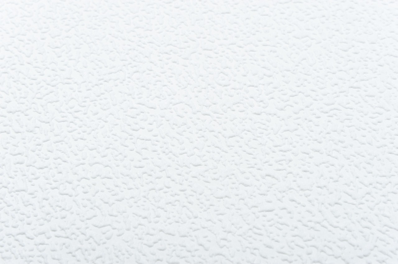 Vinyl Foam wallpaper on non-woven base Vinil Painted Wallpaper РЎ-19 White 25 x 1,06 m