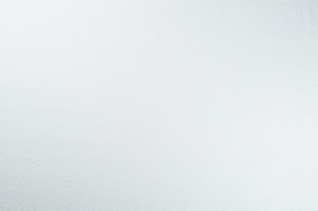 Vinyl Foam wallpaper on non-woven base Vinil Painted Wallpaper РЎ-73 White 25 x 1,06 m