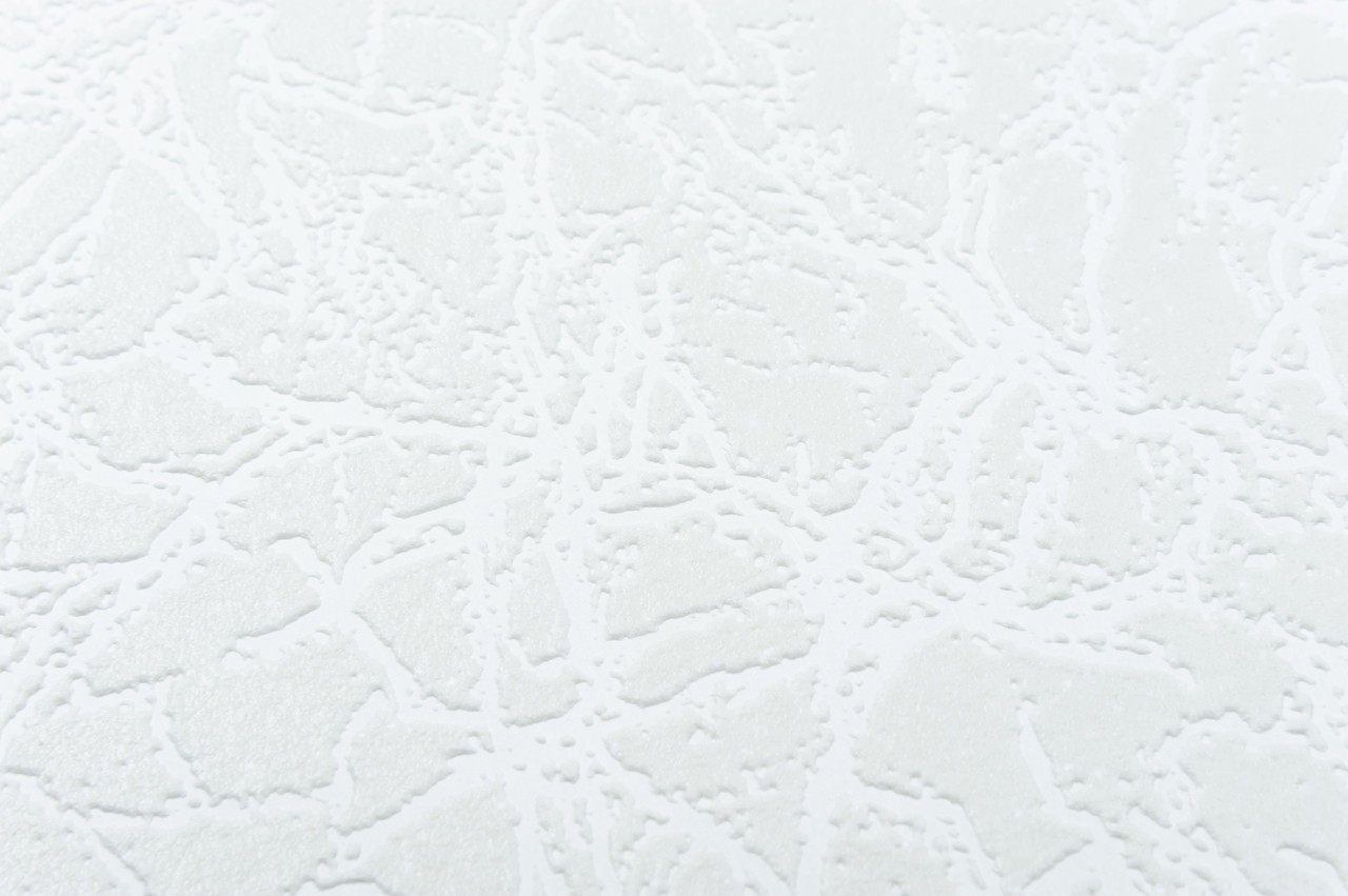 Vinyl Foam wallpaper on non-woven base Vinil Painted Wallpaper РЎ-73 White 25 x 1,06 m