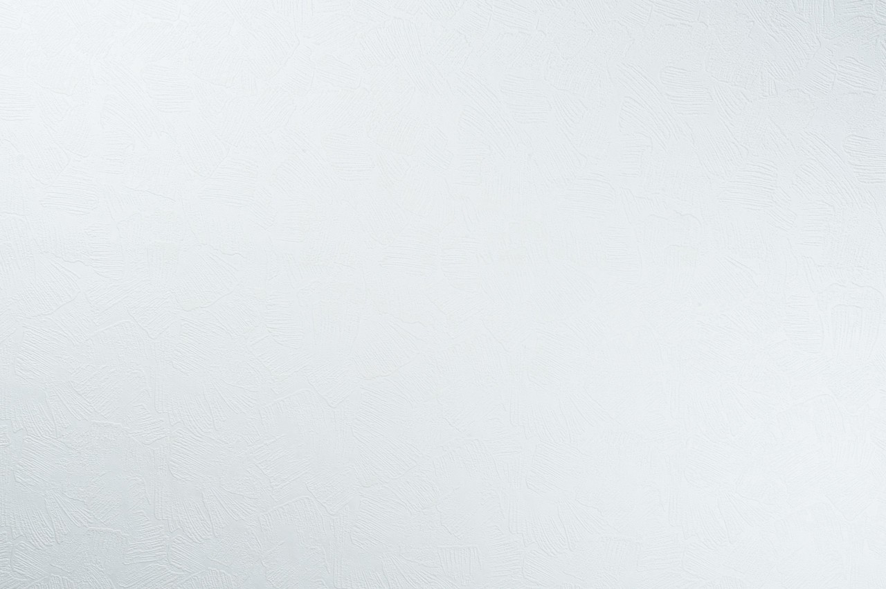 Vinyl Foam wallpaper on non-woven base Vinil Painted Wallpaper РЎ-105 White 25 x 1,06 m