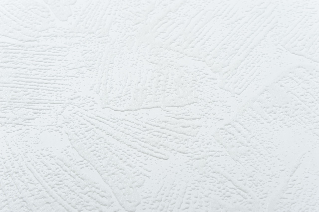 Vinyl Foam wallpaper on non-woven base Vinil Painted Wallpaper РЎ-105 White 25 x 1,06 m