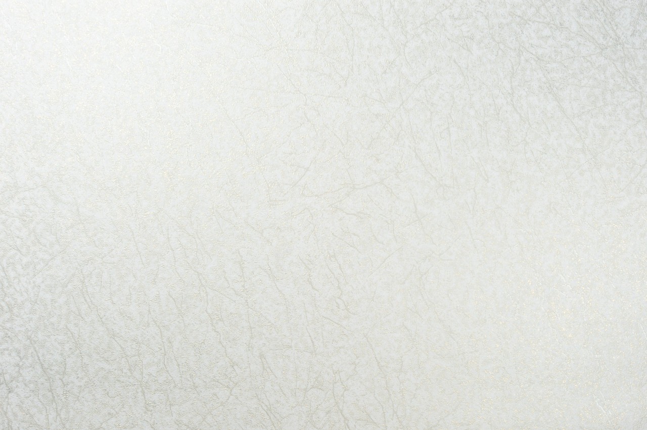 Vinyl Foam wallpaper on non-woven base Vinil Klein  DHS-1412/1 White-Golden-Pearl 10,05 x 1,06 m