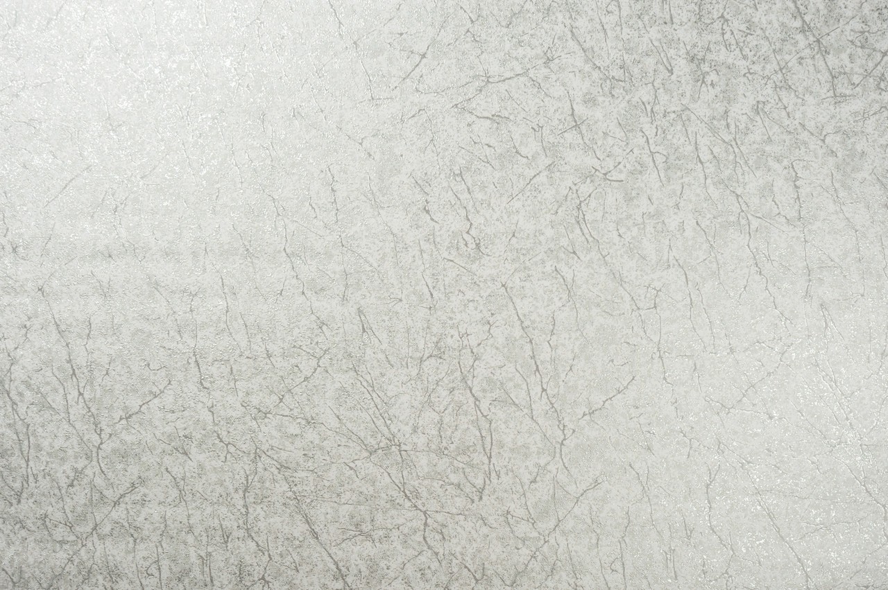Vinyl Foam wallpaper on non-woven base Vinil Klein  DHS-1412/4 Light-Gray-Silver 10,05 x 1,06 m