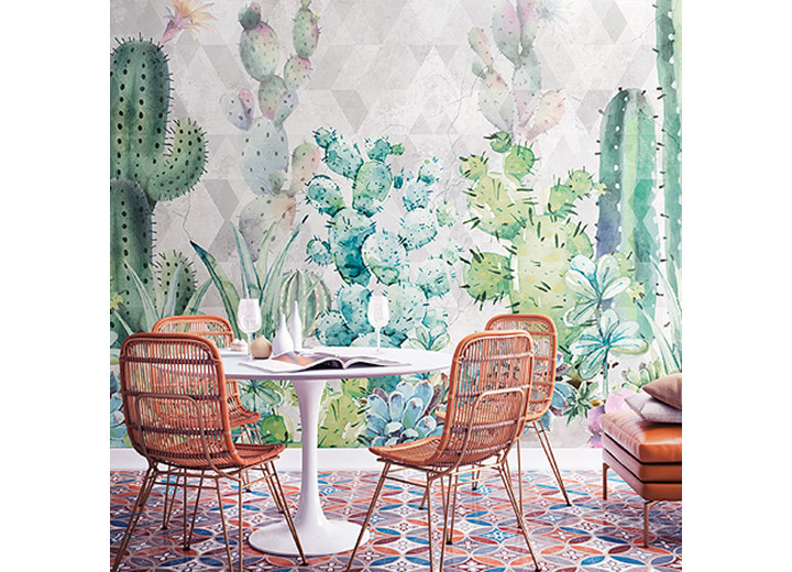Kingdom of cacti
