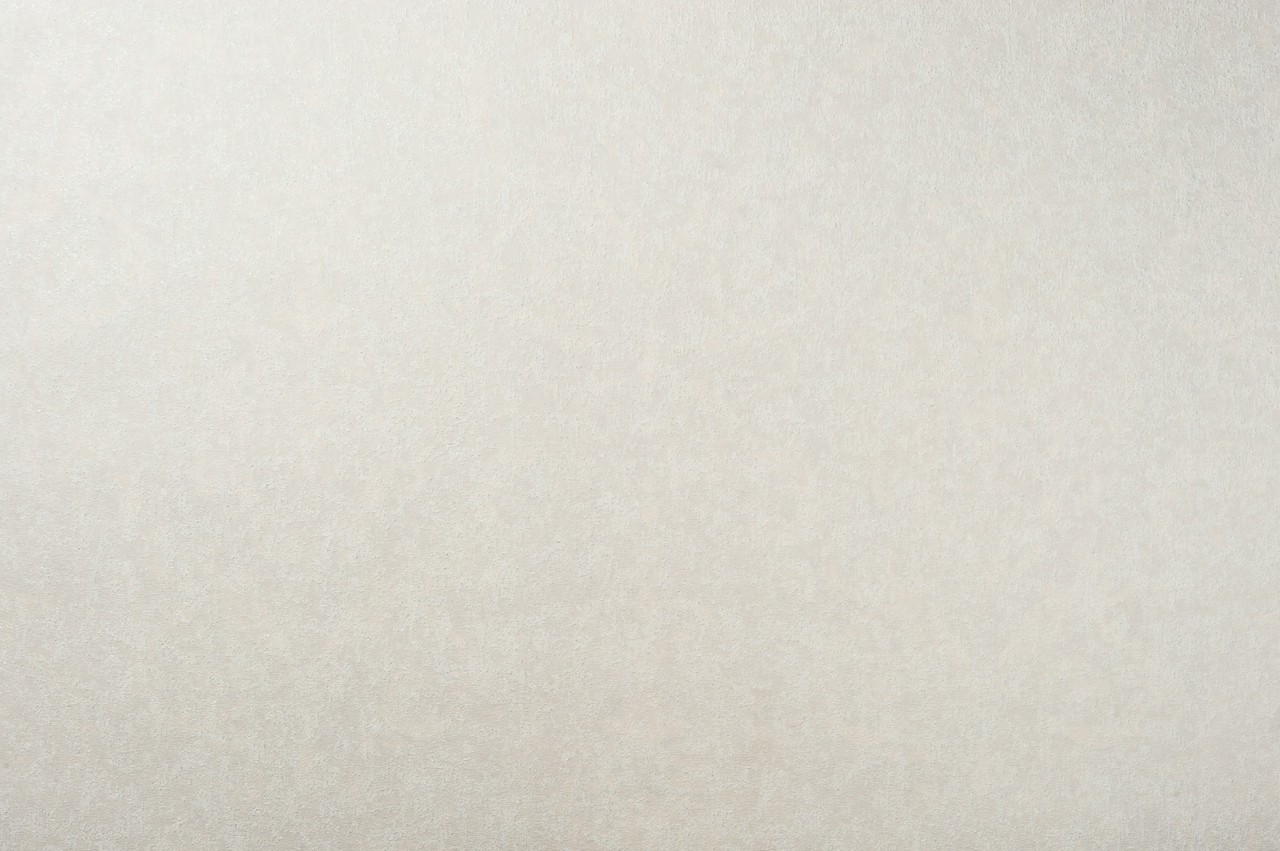 Vinyl Foam wallpaper on non-woven base Vinil Malena DHN-1495/1 Golden-White 10,05 x 1,06 m