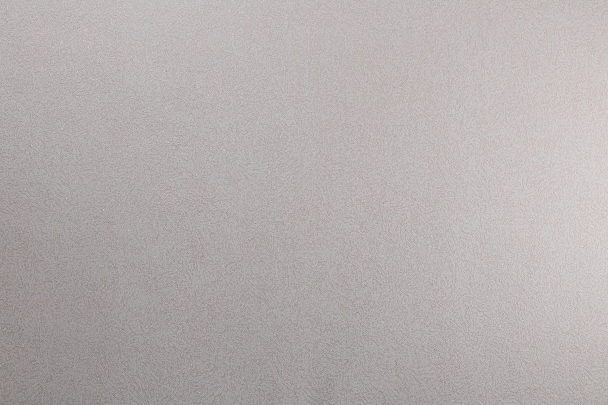 Vinyl Foam wallpaper on non-woven base Vinil ARABELLA DHV-1481/3 Light- Beige 10,05 x 1,06 m
