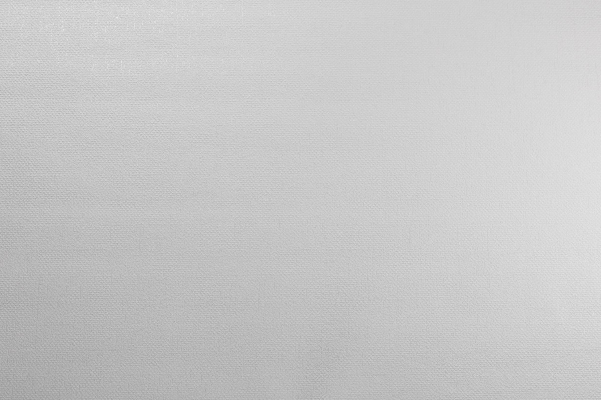 Vinyl Foam wallpaper on non-woven base Vinil Atreyu  DHS-1477/1 White 10,05 x 1,06 m