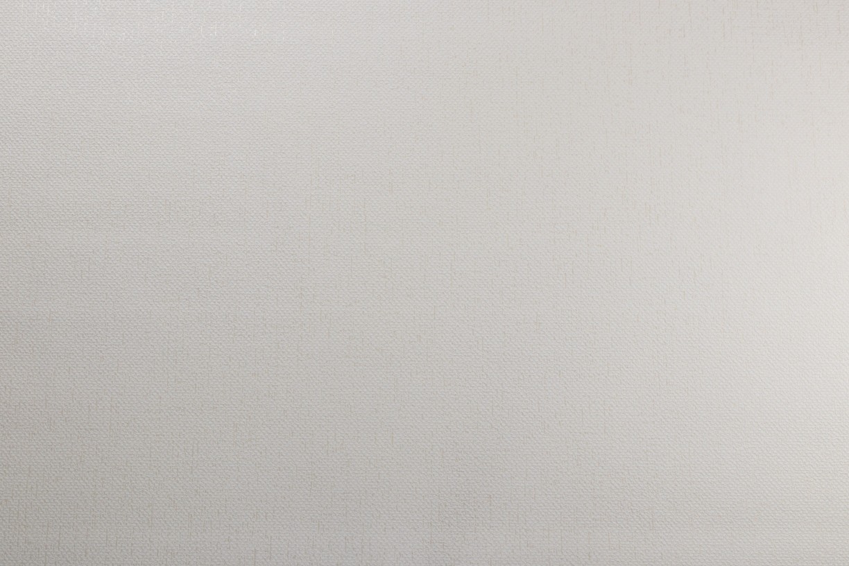 Vinyl Foam wallpaper on non-woven base Vinil Atreyu  DHS-1477/3 White 10,05 x 1,06 m