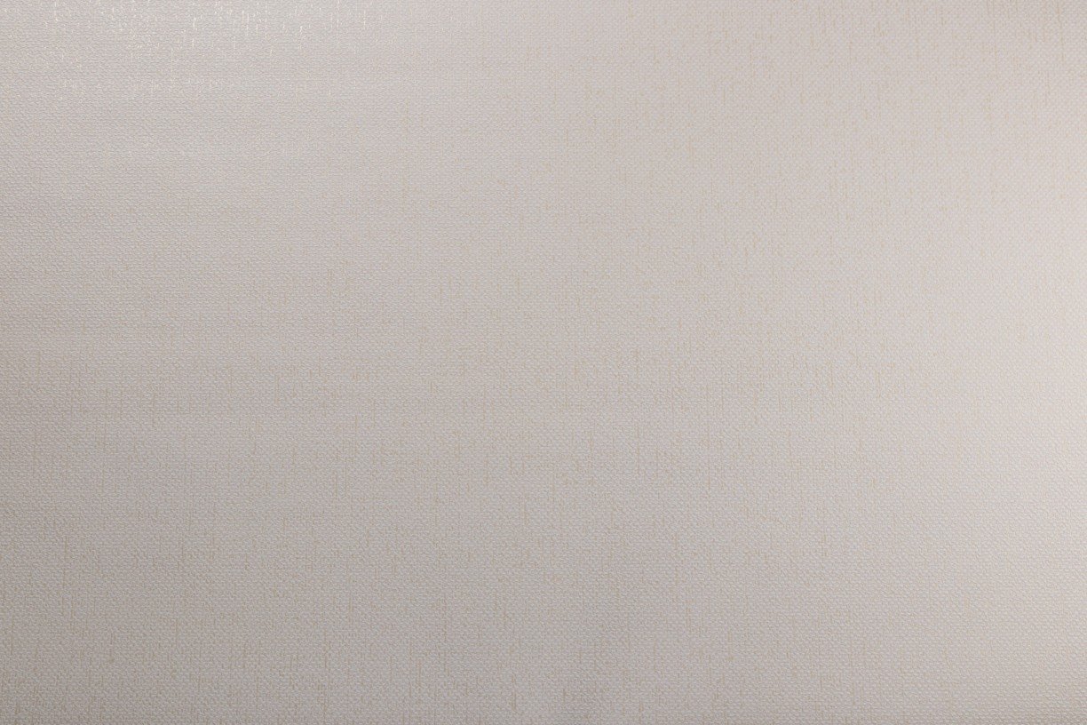 Vinyl Foam wallpaper on non-woven base Vinil Atreyu  DHS-1477/5 Sandy 10,05 x 1,06 m