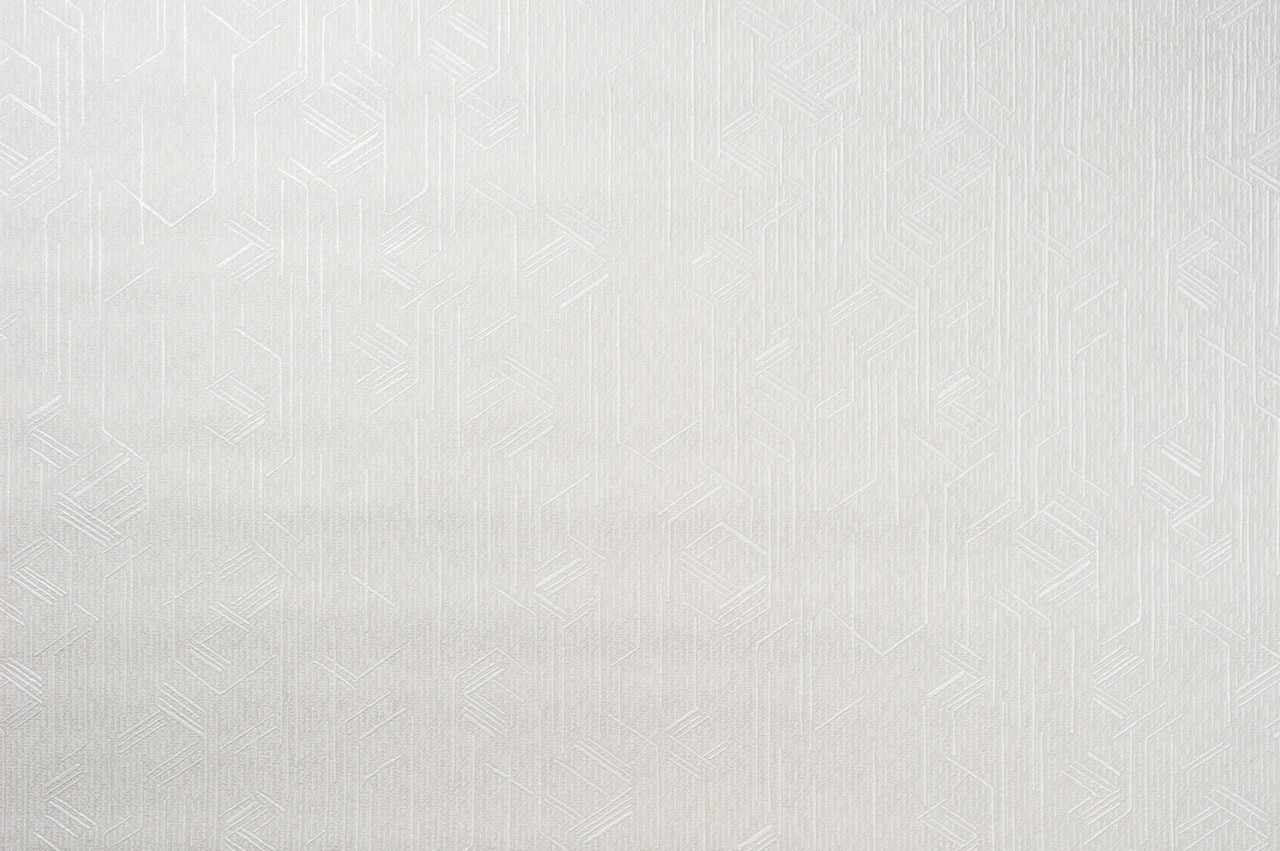 Vinyl Foam wallpaper on non-woven base Vinil Shamani  DHS-1478/2 Gray-White 10,05 x 1,06 m