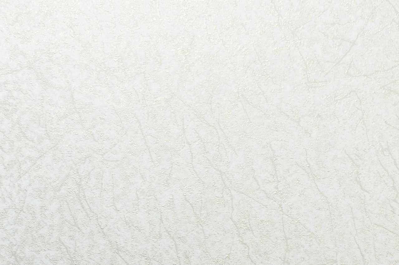 Vinyl Foam wallpaper on non-woven base Vinil Klein KFS 1-1524 White-Golden-Pearl 10,05 x 0,53 m