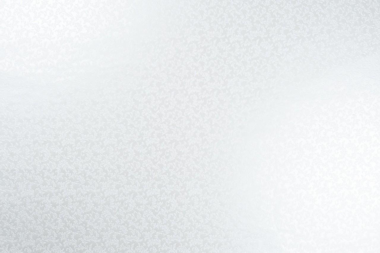 Vinyl Foam wallpaper on non-woven base Vinil Golden DHN-1498/1 White 10,05 x 1,06 m