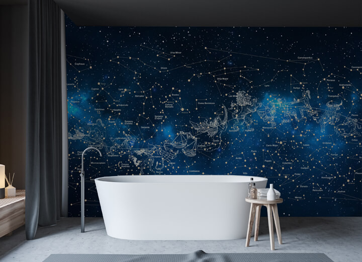 Night sky constellations