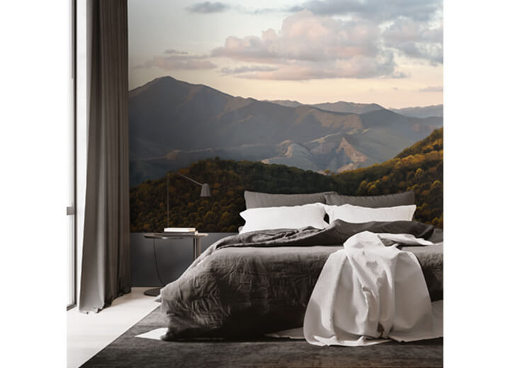 Forests on the mountains